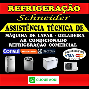 assistência técnica