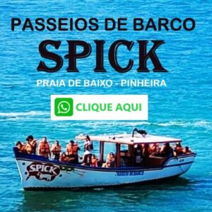 passeios de barco